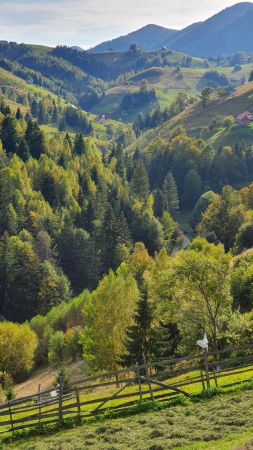 Pensiunea Crai Nou Şirnea Exterior foto