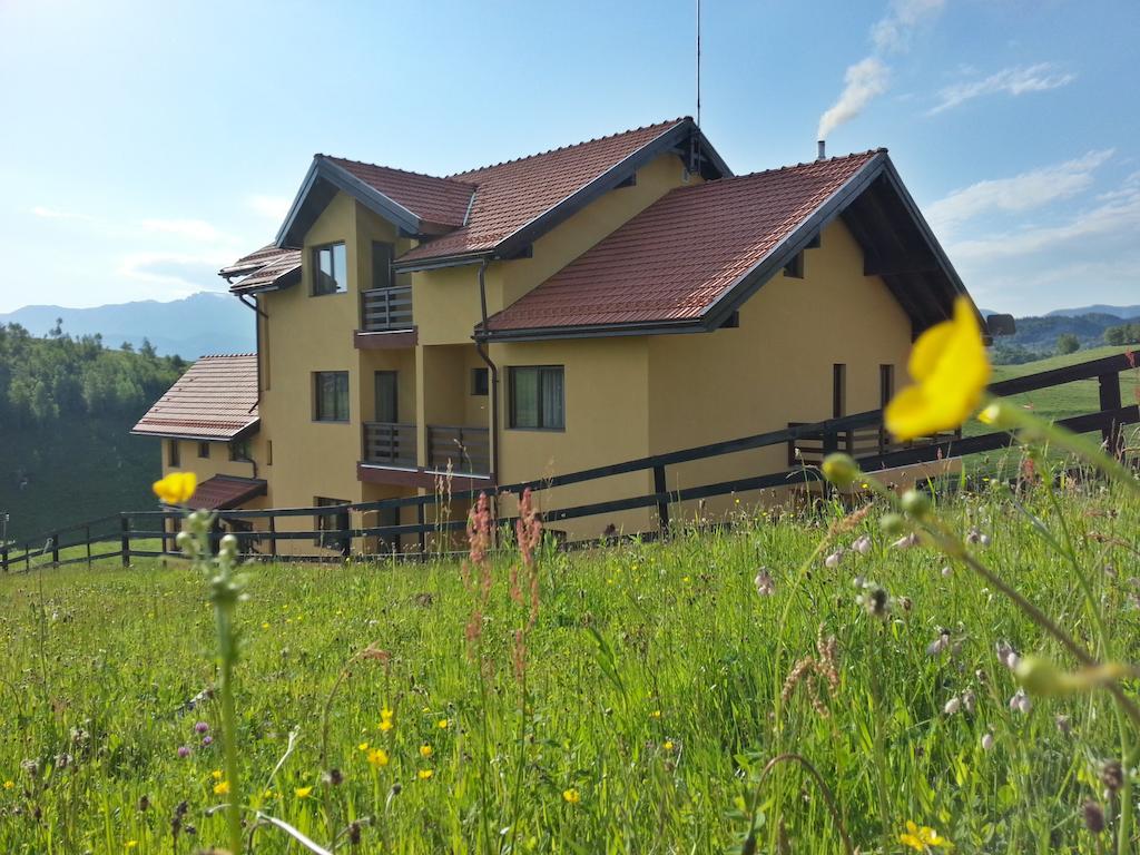 Pensiunea Crai Nou Şirnea Exterior foto